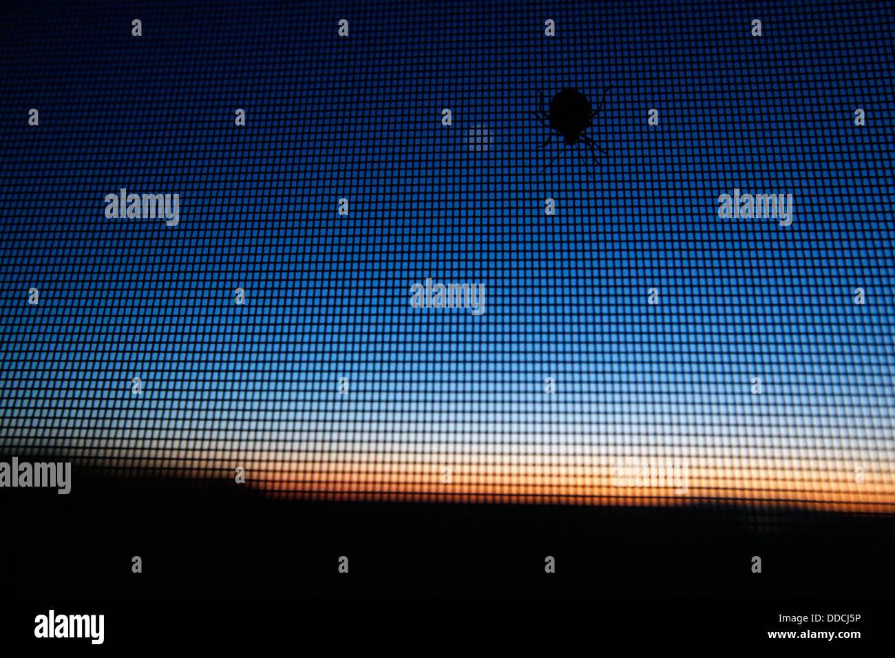 Ein Käfer ruht auf einem abgeschirmten Veranda den Sonnenuntergang über den Blue Ridge Mountains im Iris Inn Waynesboro, Virginia, USA. Stockfoto