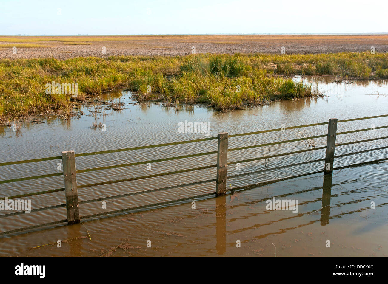 Sümpfe, Donana Nationalpark, Huelva Provinz, Region von Andalusien, Spanien, Europa Stockfoto