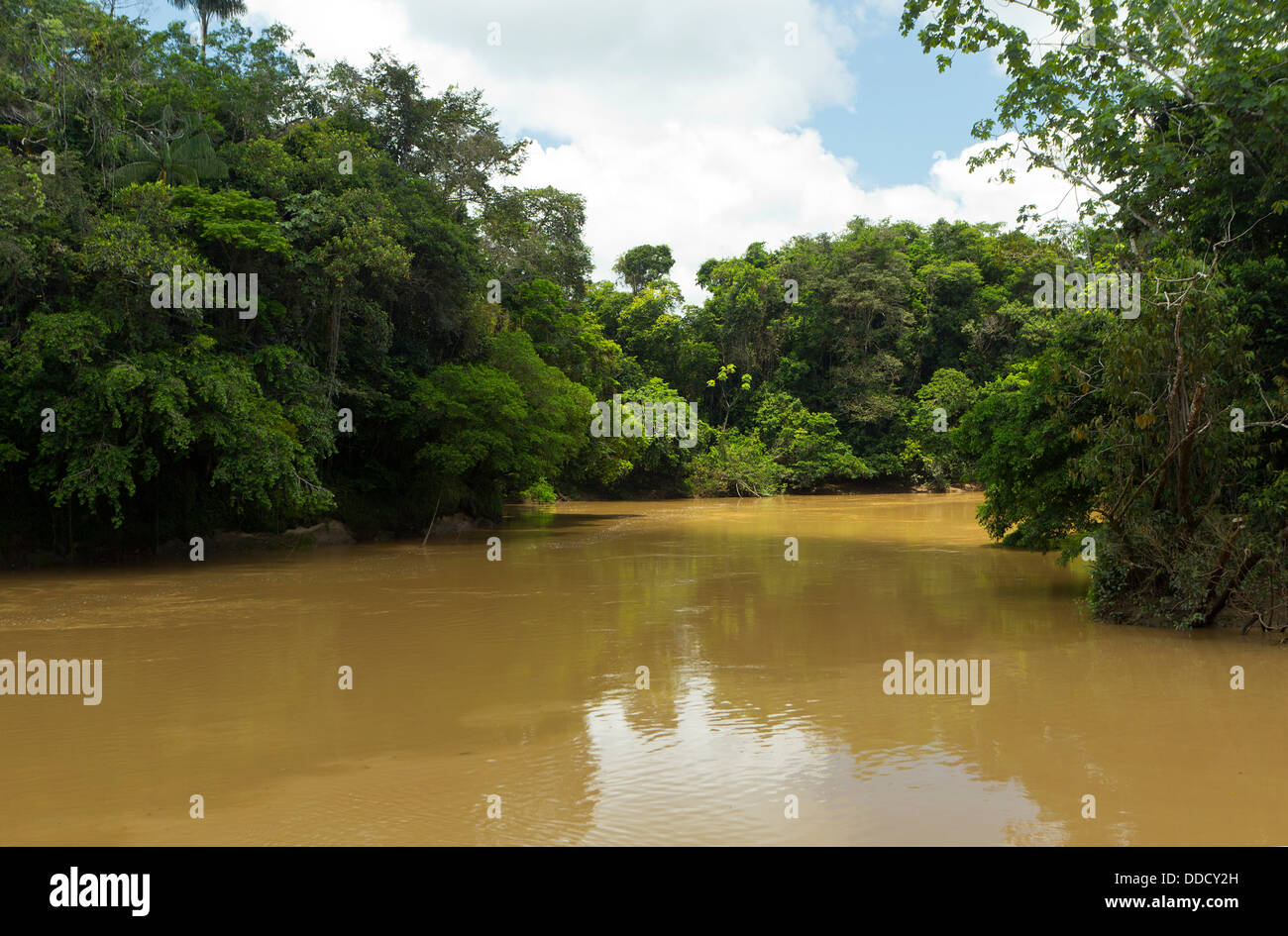 Der Rio Cononaco, tief in den Amazonas Stockfoto