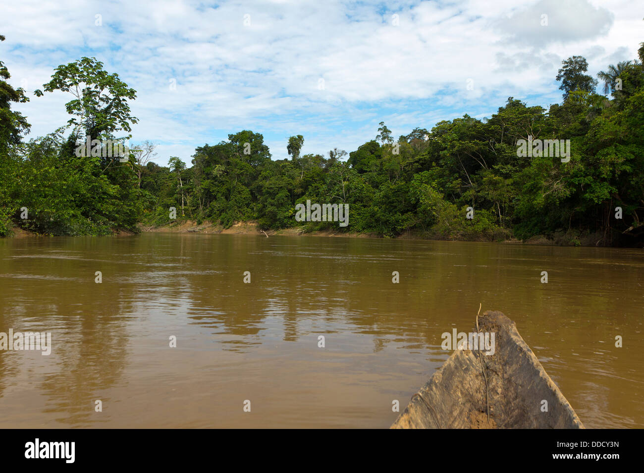 Der Rio Cononaco, tief im ecuadorianischen Amazonasgebiet in einem Einbaum hinuntertreiben Stockfoto