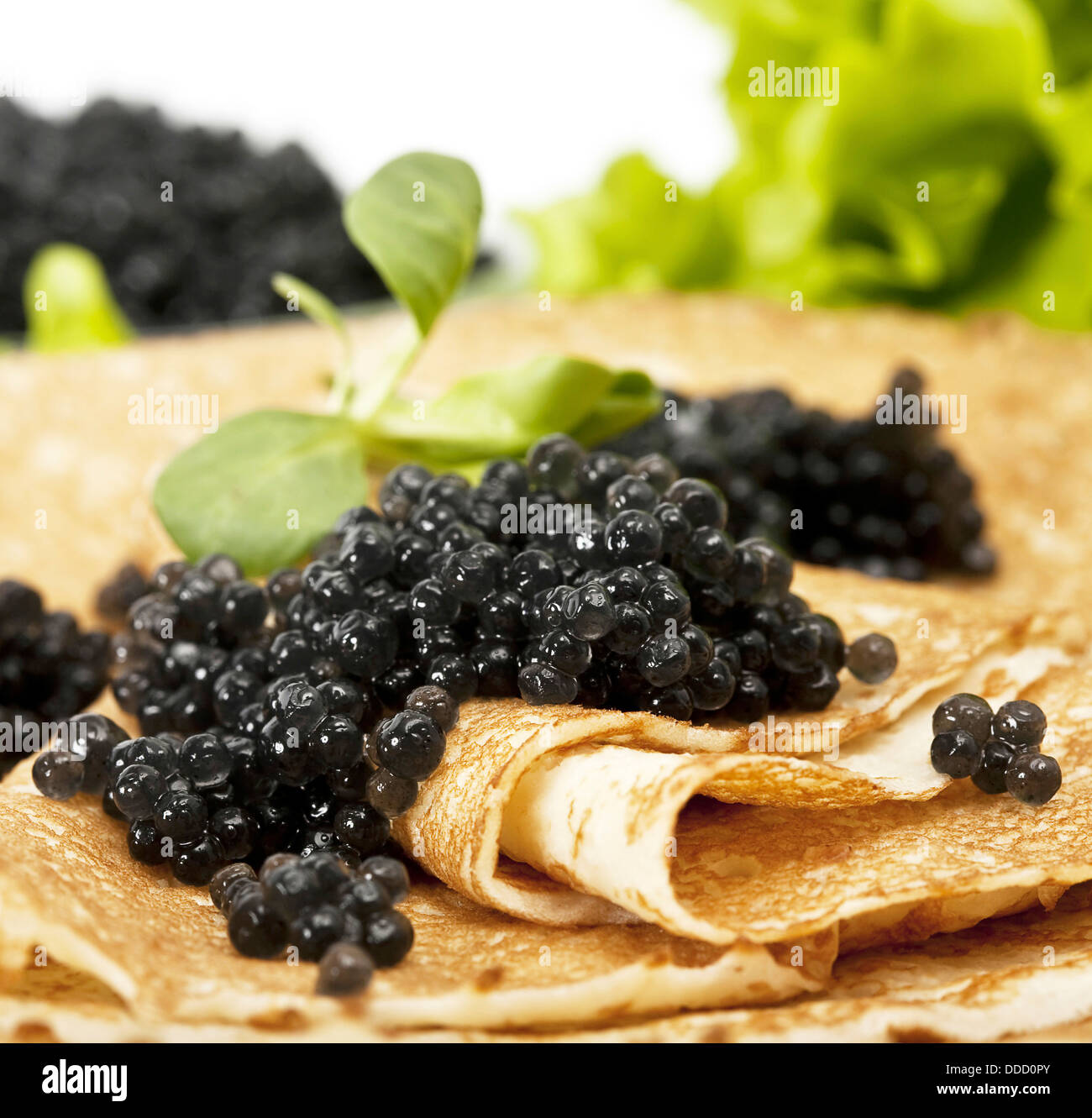 Pfannkuchen Sie mit schwarzem Kaviar und Grüns Stockfoto