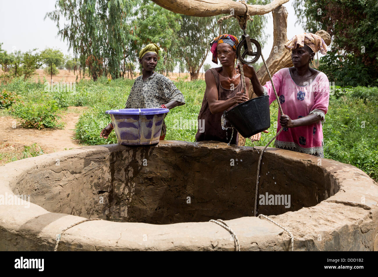 Wolof Frauen Zeichnung Wasser vom Brunnen zur Bewässerung der Gemüsegarten. Dialacouna Gartenbau Projekt, in der Nähe von Kaolack, Senegal. Eine Africare Projekt. Stockfoto