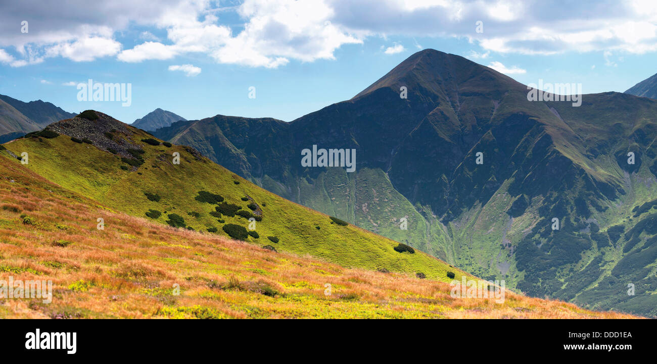 Berglandschaft der Tatra-Nationalpark, Starorobocianski Peak, Polen, Europa Stockfoto