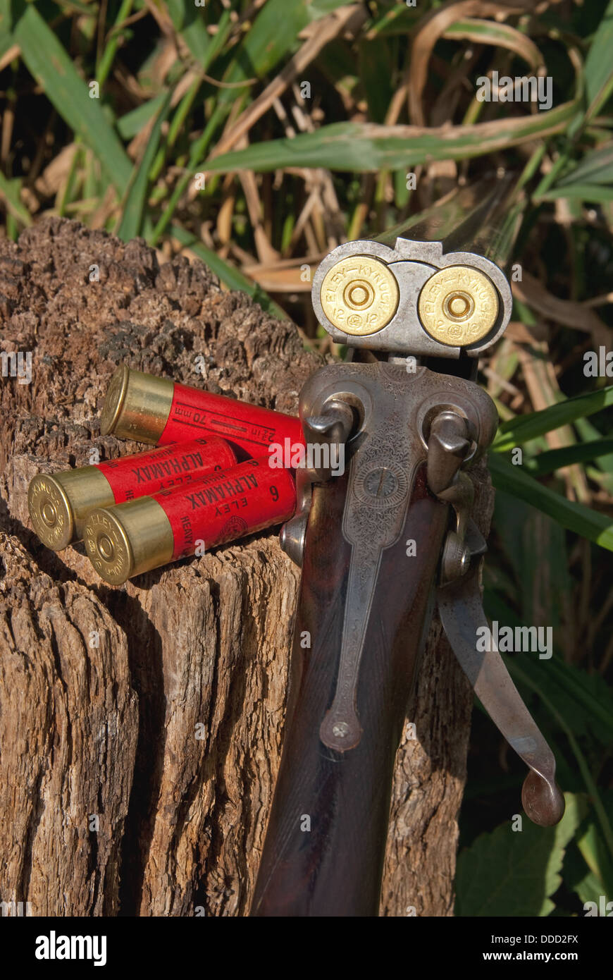 Vintage nebeneinander 12 Bohrung Schrotflinte durch D Bond Diss, Norfolk Stockfoto