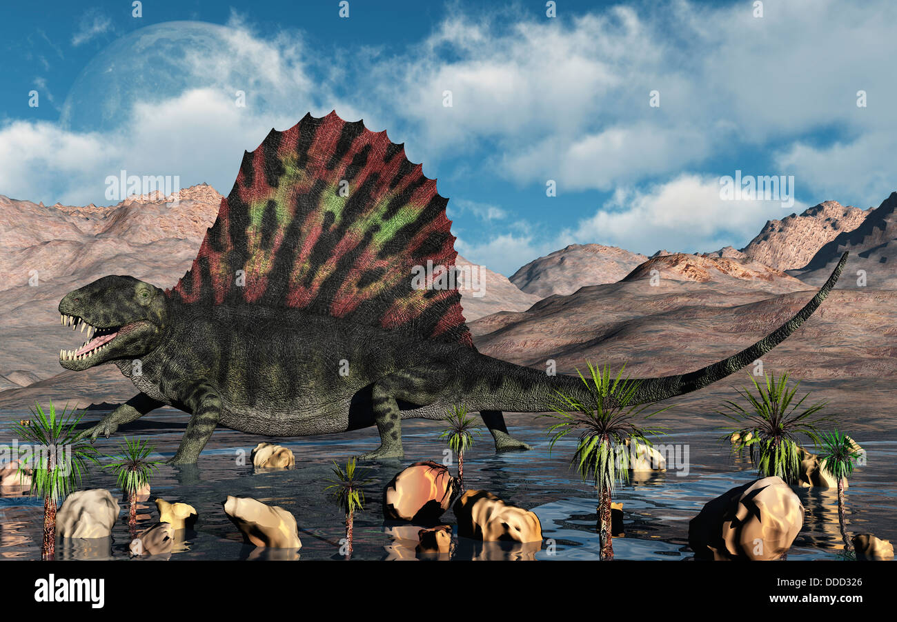 Dimetrodon Erden Permian Periode von Zeit. Stockfoto