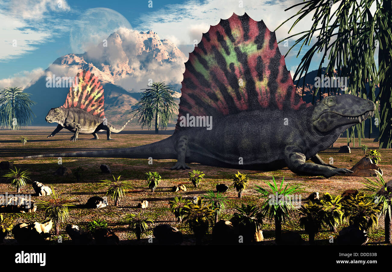 Dimetrodons Erden Permian Periode von Zeit. Stockfoto
