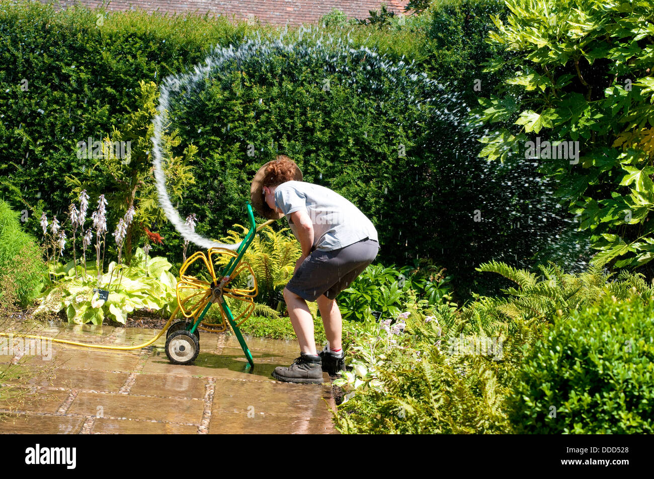 Gärtner versucht zu sortieren, den Schlauch Wasser Spritzen überall Stockfoto