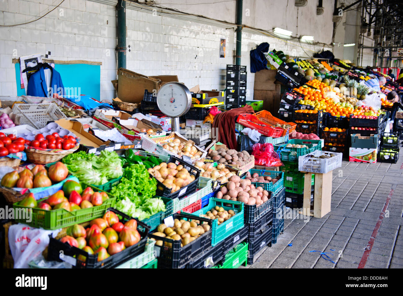 Frisches Gemüse, Fleisch, Blumen, Fischmarkt im Zentrum der Stadt, Porto, Porto, Portugal Stockfoto