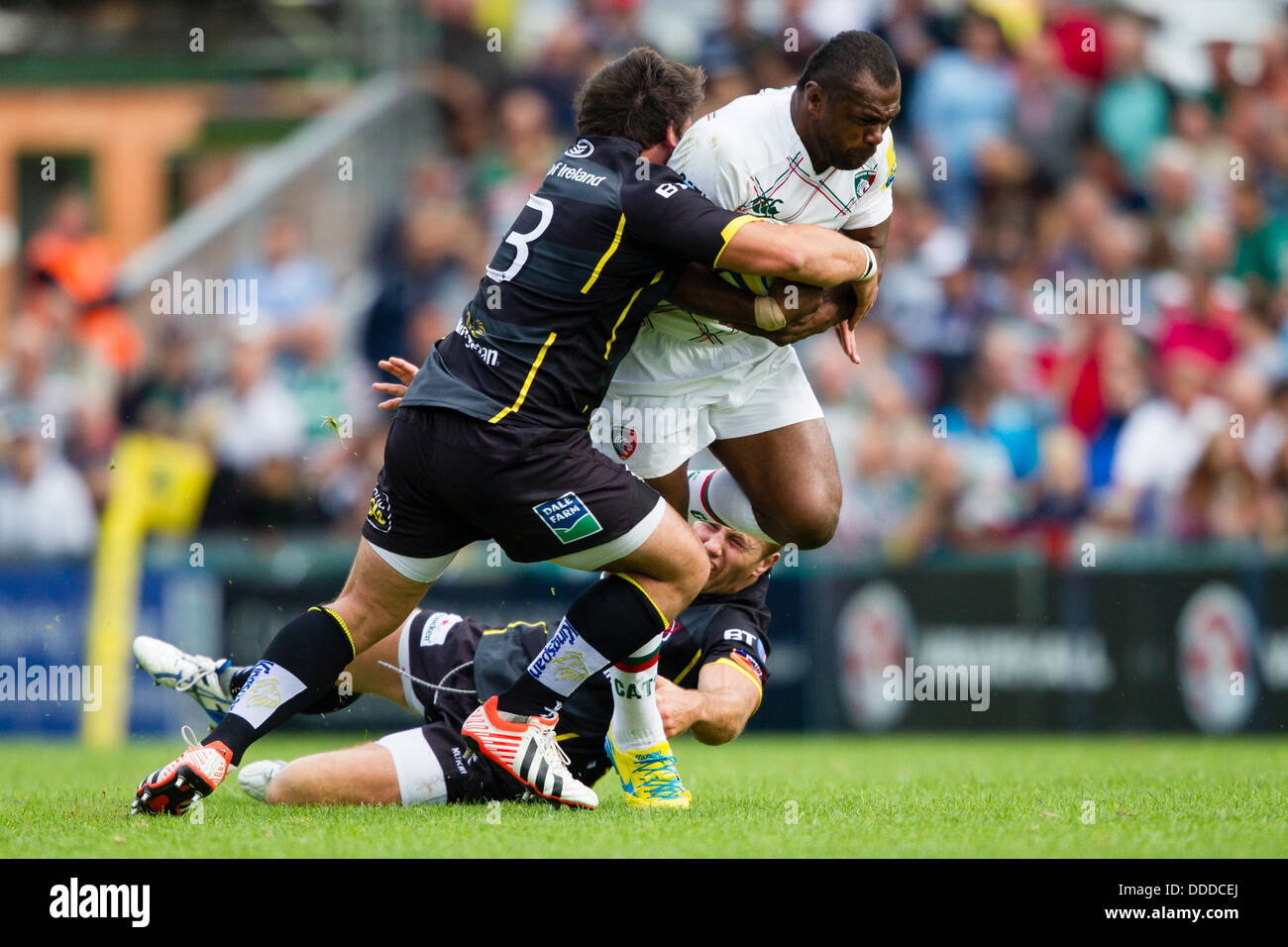 LEICESTER, UK - Samstag, 31. August 2013. Leicester Vereniki Goneva in Angriff genommen wird. Aktion aus dem Vorbereitungsspiel zwischen Leicester Tigers und Ulster gespielt an der Welford Road, Leicester. Bildnachweis: Graham Wilson/Alamy Live-Nachrichten Stockfoto