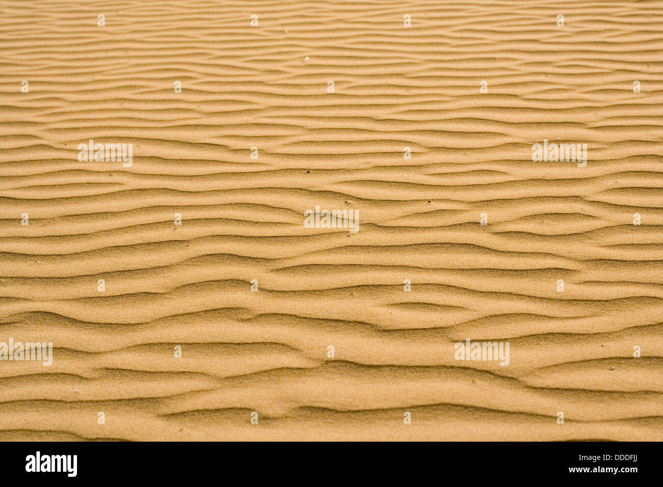 Sandoberfläche Stockfoto