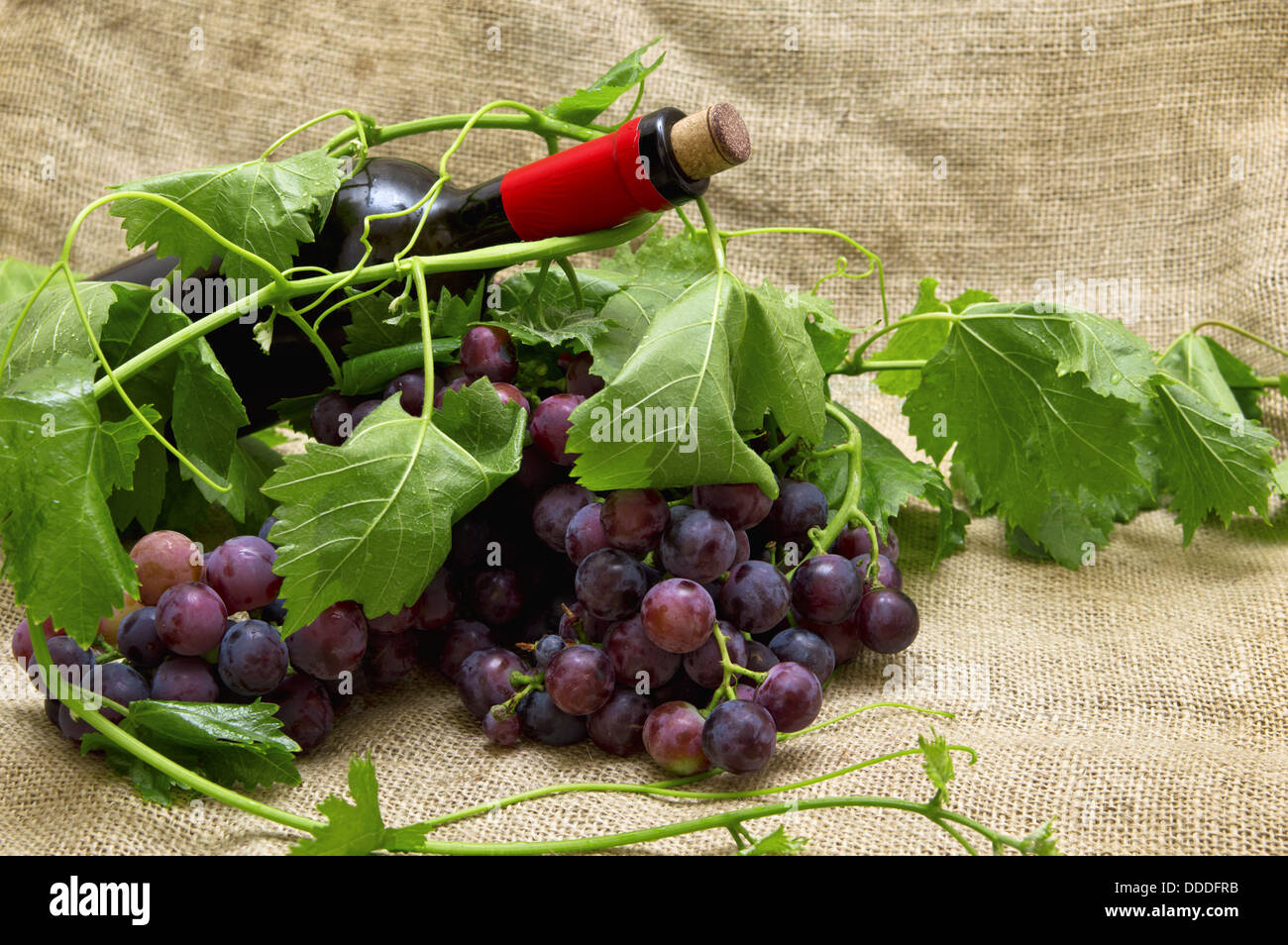 Leckere süße Trauben mit roten Wein in der Flasche. Selektiven Fokus mit geringen Schärfentiefe. Stockfoto