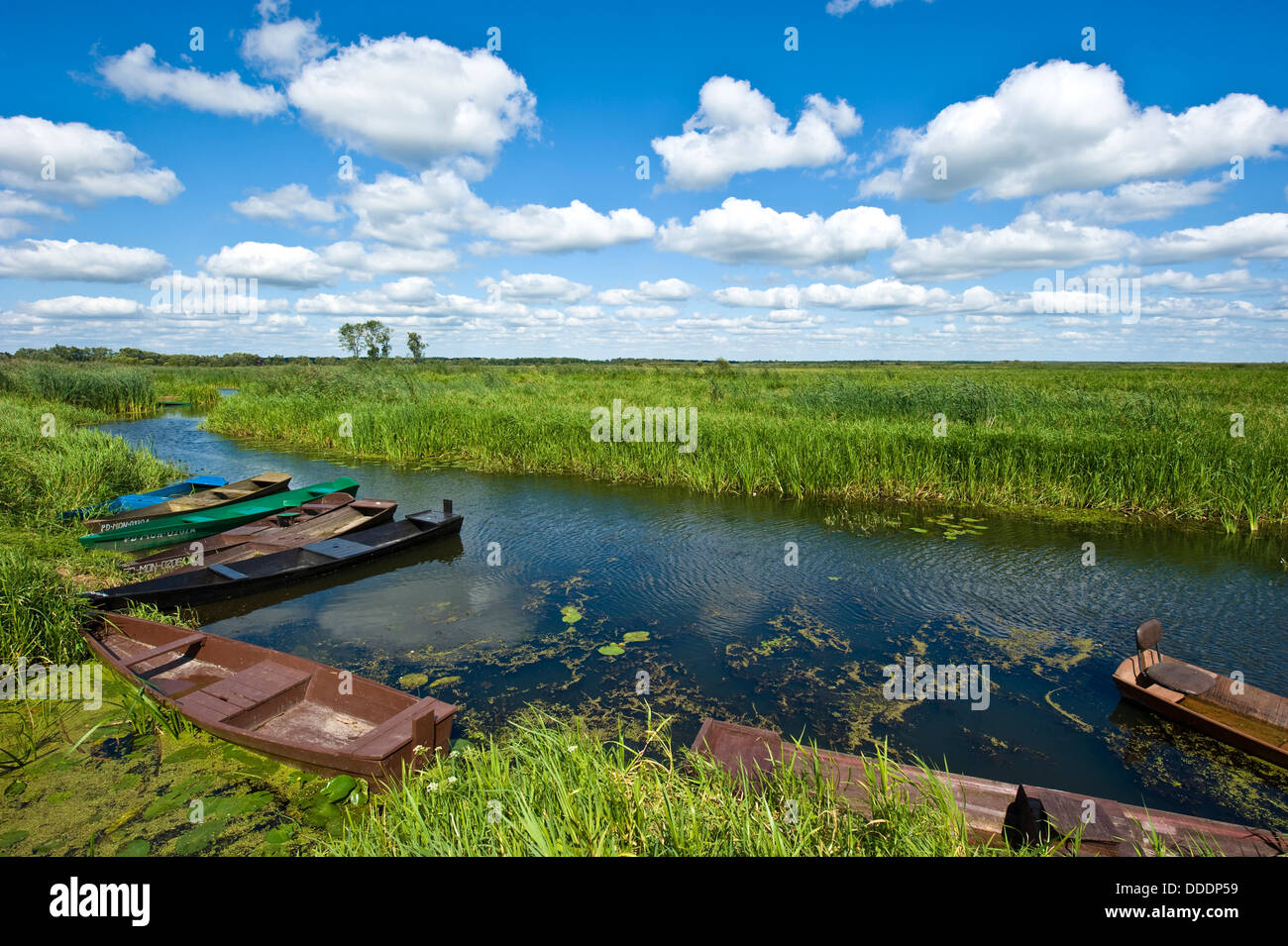 Einfache/Fischerboote zum mieten auf dem Biberza-Fluss in NE Polen. Stockfoto