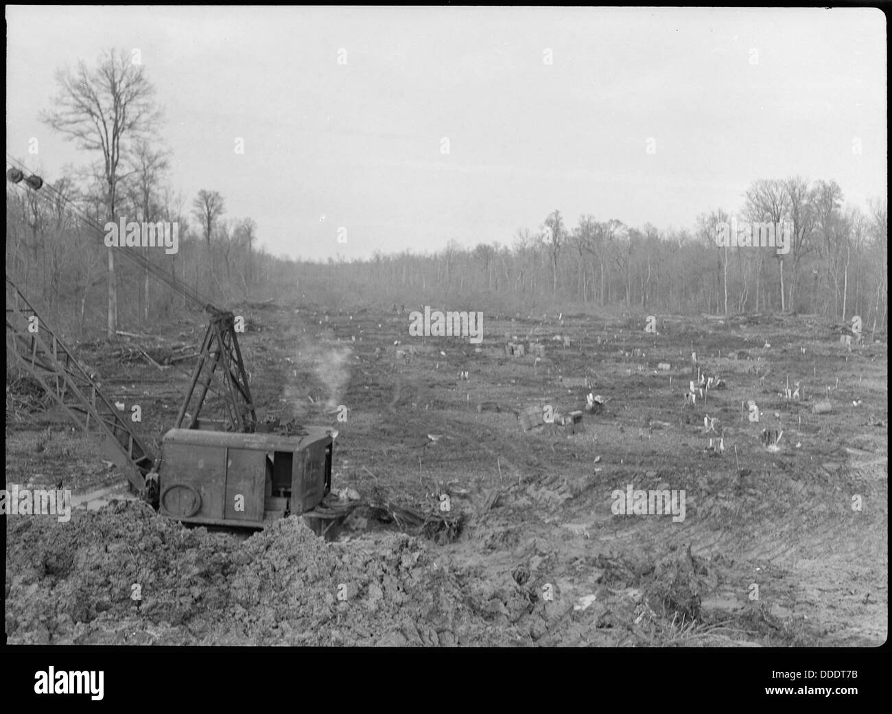 Dieses Foto zeigt einen Blick auf den Weg in der Nähe der Ausgrabungsstätte am Jerome Relocation Center in Dermott, Arkansas, wo japanische Amerikaner während des Zweiten Weltkriegs festgenommen wurden Stockfoto