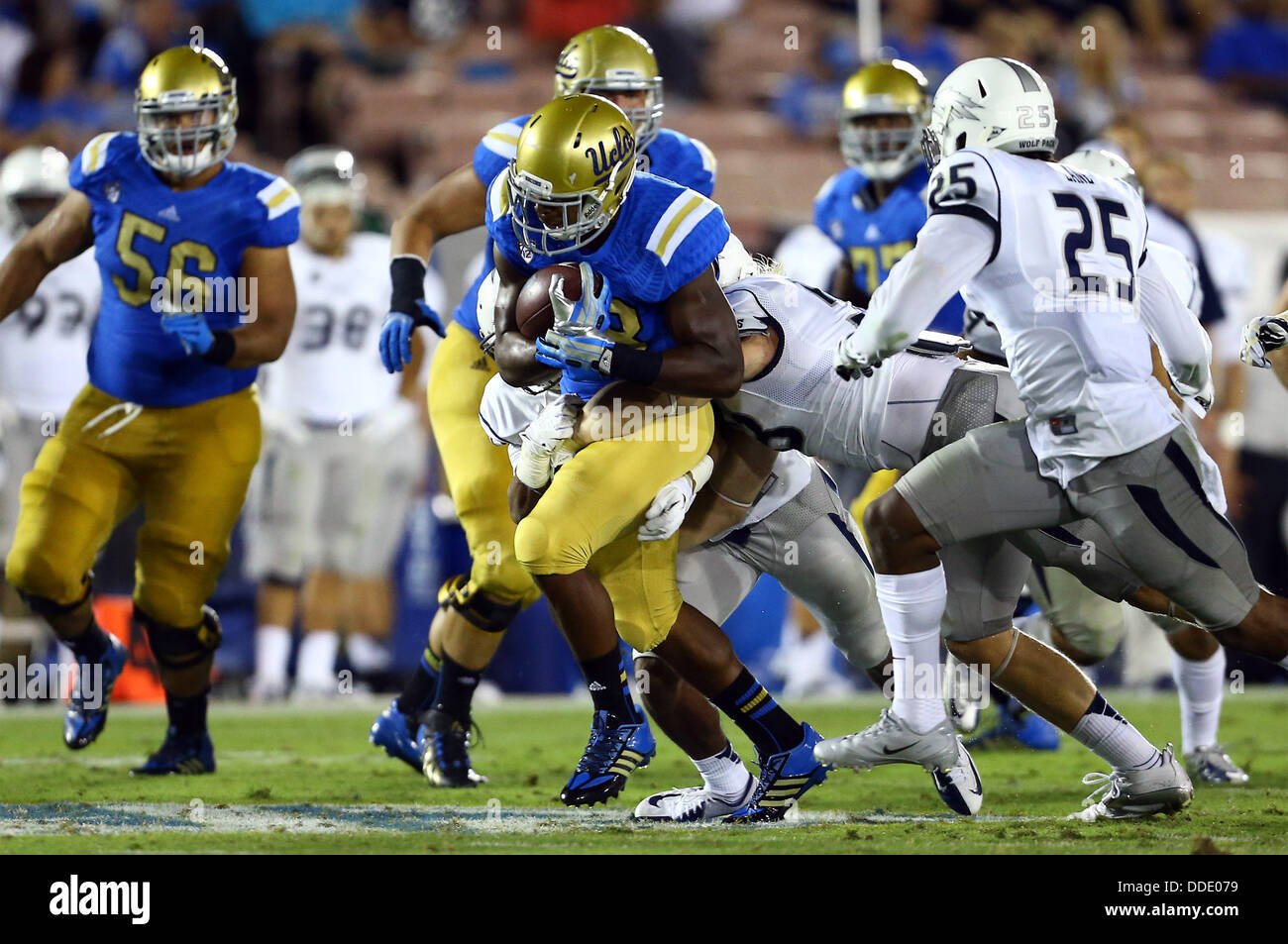 31. August 2013 - Pasadena, California, Vereinigte Staaten von Amerika - 31. August 2013 Pasadena, Kalifornien: UCLA läuft der Ball während der NCAA Football-Spiel zwischen der Nevada Wolf Pack und die UCLA Bruins in der Rose Bowl am 31. August 2013 in Pasadena, Kalifornien. Rob Carmell/CSM Stockfoto