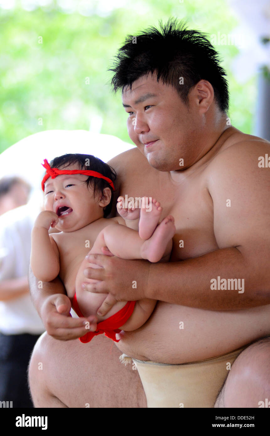 Ringer und Babys nehmen Teil in einem Sumo-Event am Matsuo Taisha Schrein in Kyoto, Japan. Stockfoto