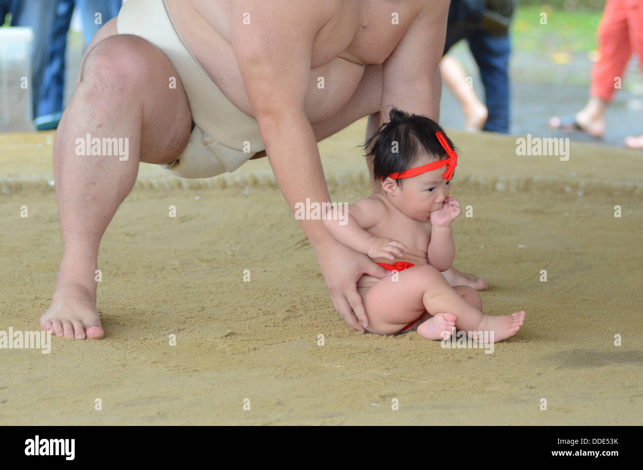 Ringer und Babys nehmen Teil in einem Sumo-Event am Matsuo Taisha Schrein in Kyoto, Japan. Stockfoto