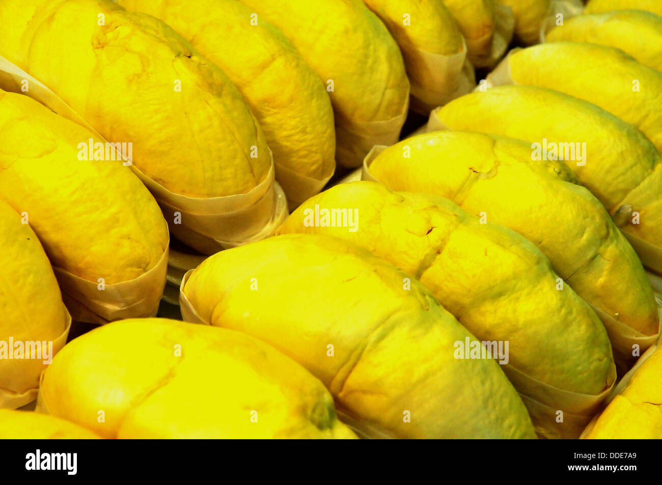 Thai Früchte: "Goldene Kissen" Durian (Monthong) Stockfoto