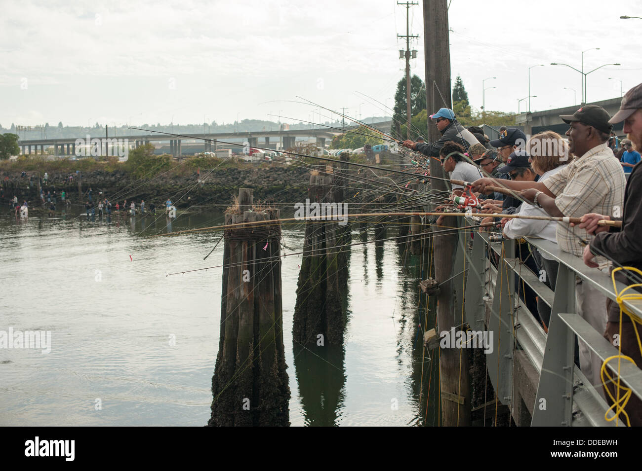 Seattle, USA. 1. September 2013. Fischer versuchen ihr Glück beim Fang von Lachs in Seattle, WA, USA am Sonntag, 1. September 2013. Dies war der Eröffnungstag für die Fischerei auf dem Spokane St. Bridge Fishing Pier. Bildnachweis: Mason Vranish/Alamy Live-Nachrichten Stockfoto
