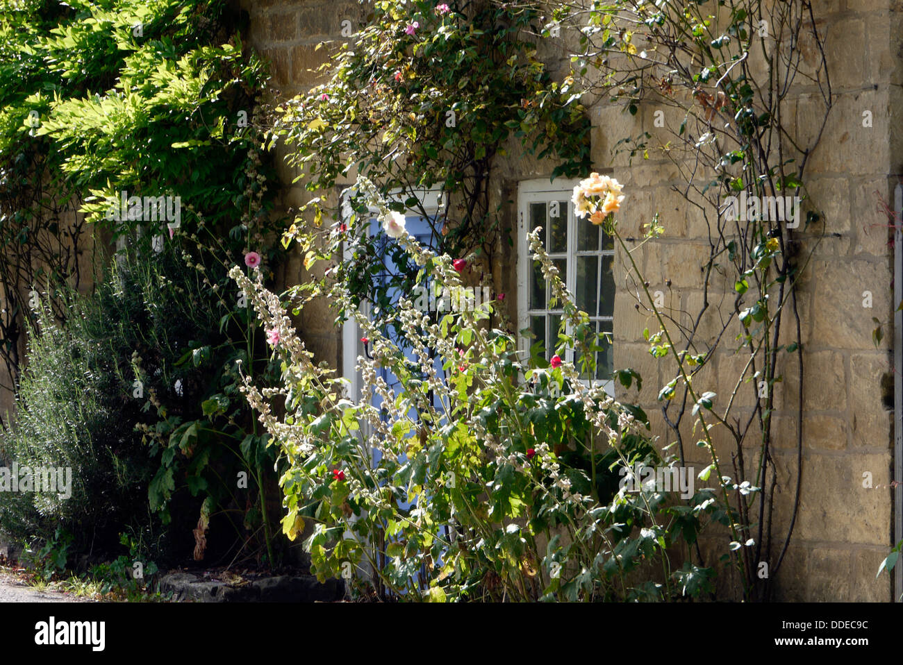 Bauerngarten in Broadway, Cotswolds, Worcestershire, England, UK Stockfoto