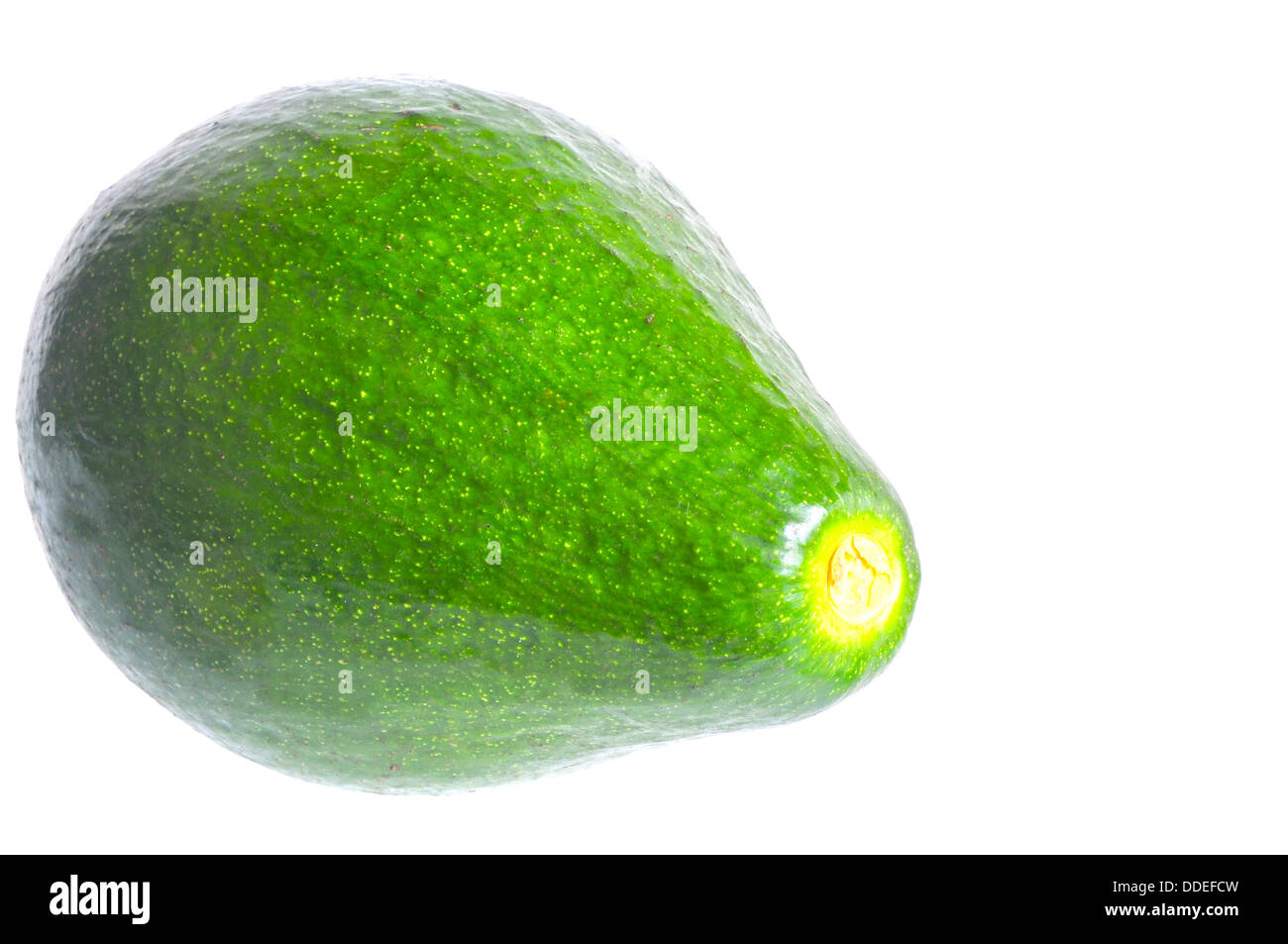 Makroaufnahme einer schön saftig Avocado Frucht auf weiß Stockfoto