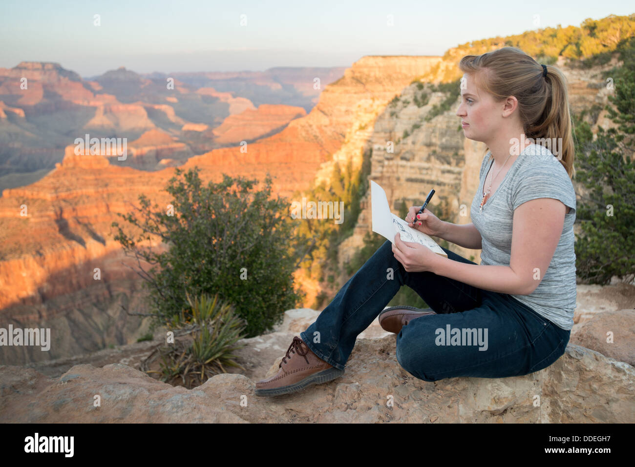 Junge Frau skizzieren Grand Canyon Stockfoto