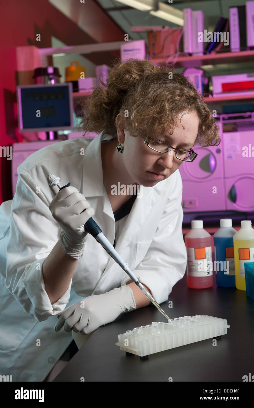 Wissenschaftler laufen Test im Labor an Universität von Arizona Stockfoto