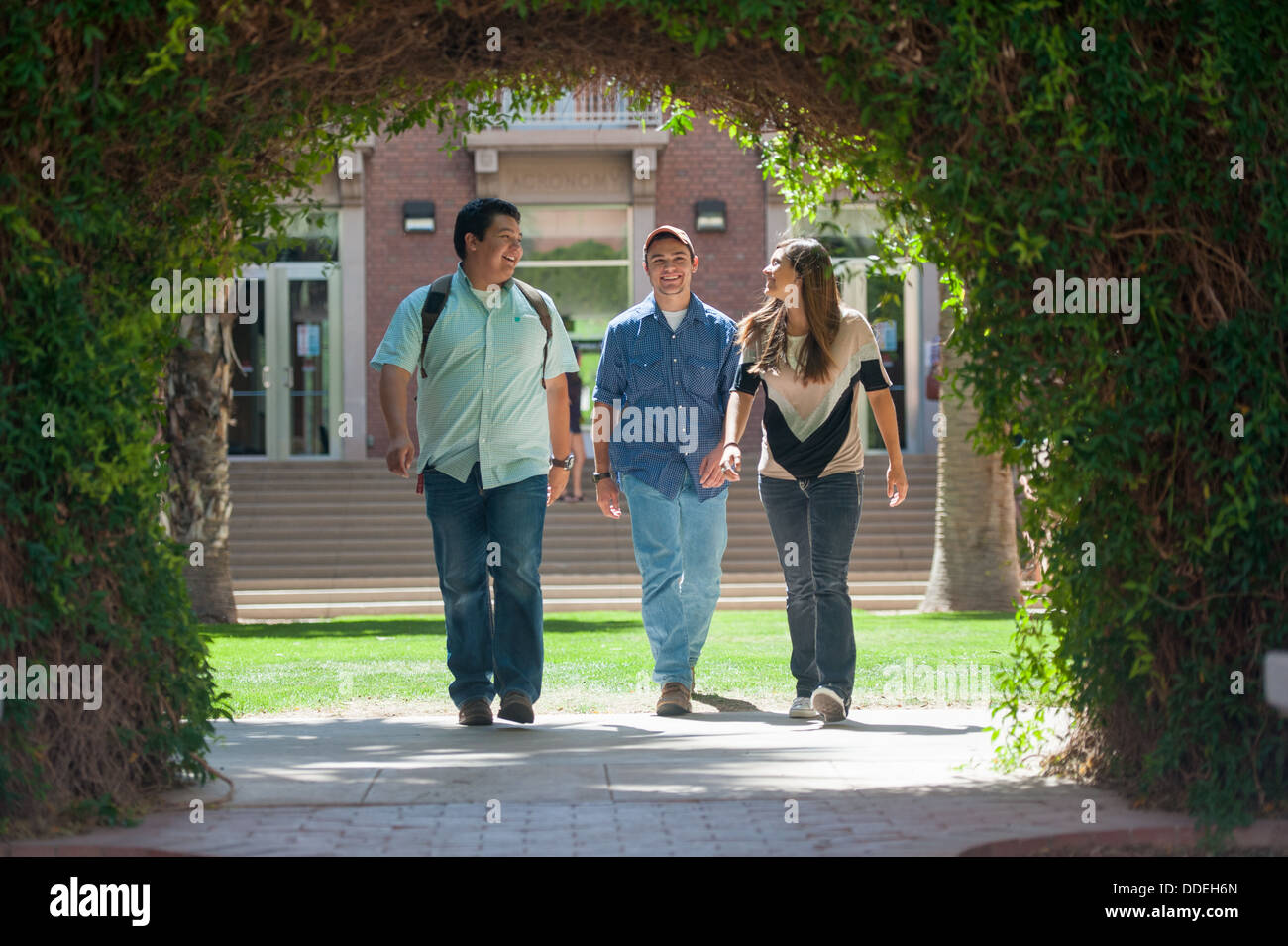 Universität von Arizona-Studenten auf dem campus Stockfoto