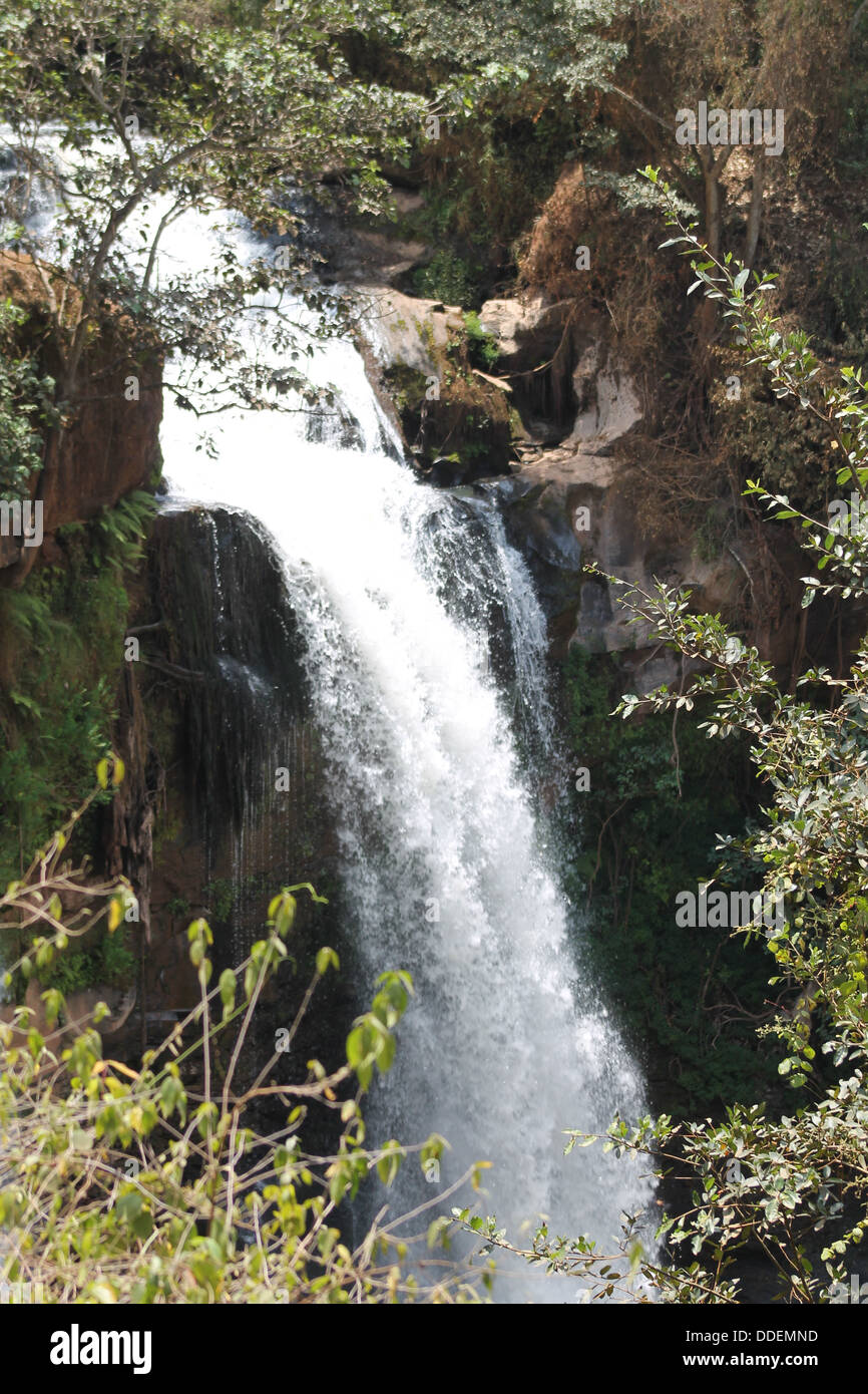 Klare Sicht auf einen Wasserfall im Fluß Thika in Zentralkenia. Stockfoto