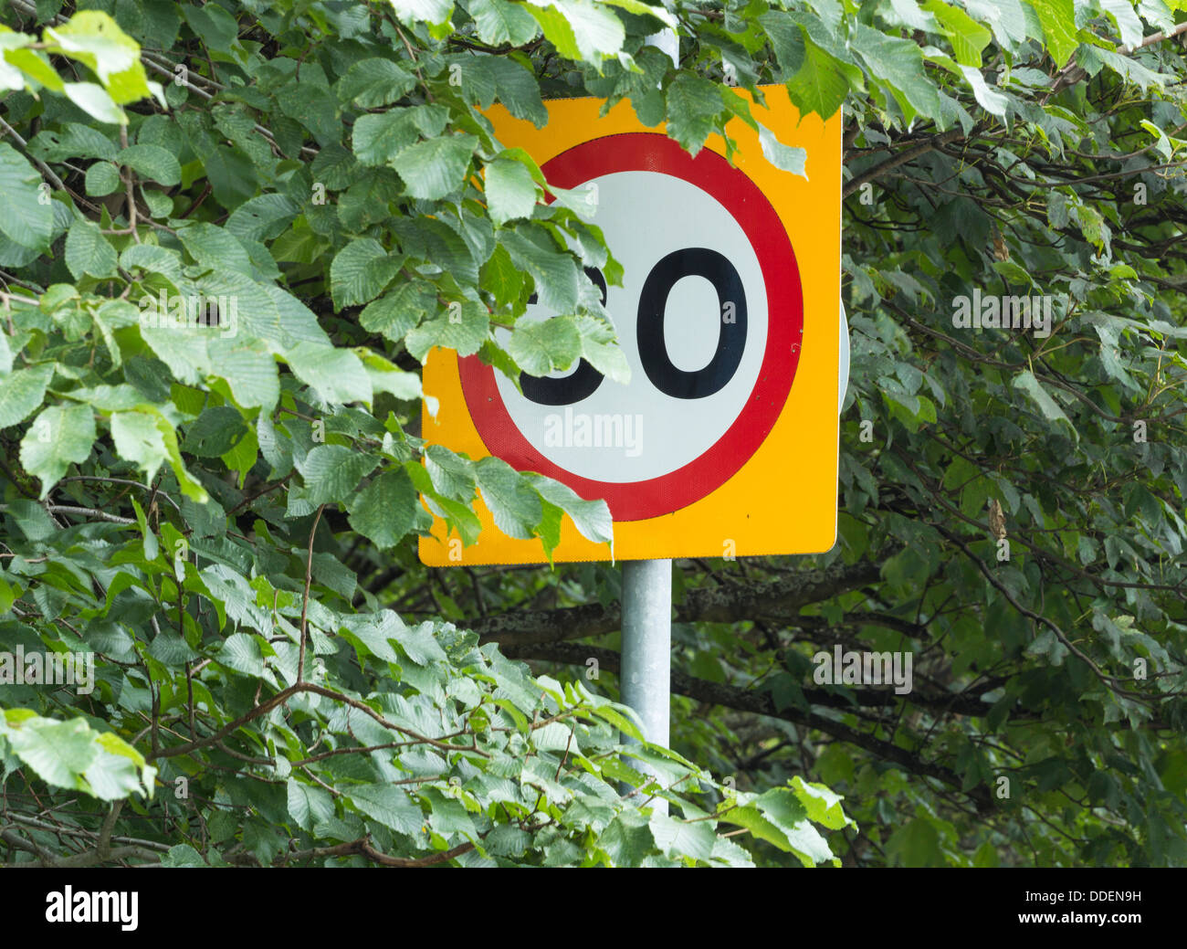 3o km/h Begrenzung Zeichen verdeckt durch Äste. England, UK Stockfoto
