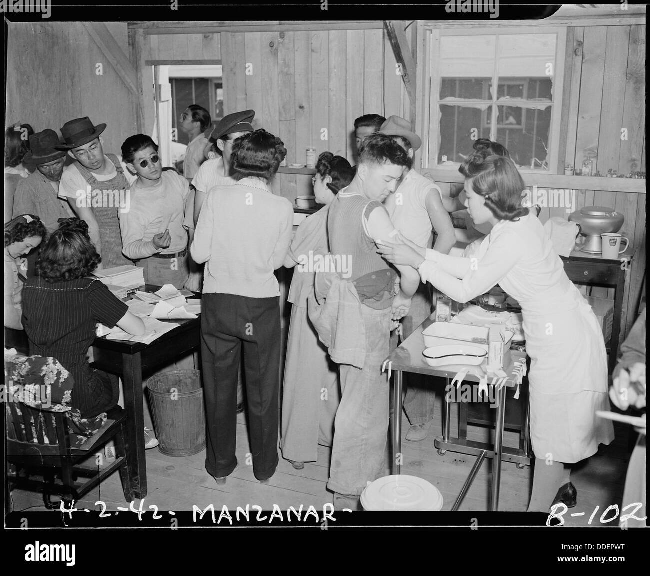 Manzanar Relocation Center, Manzanar, Kalifornien. Neulinge werden von evakuierten der japanischen geimpft... 536851 Stockfoto