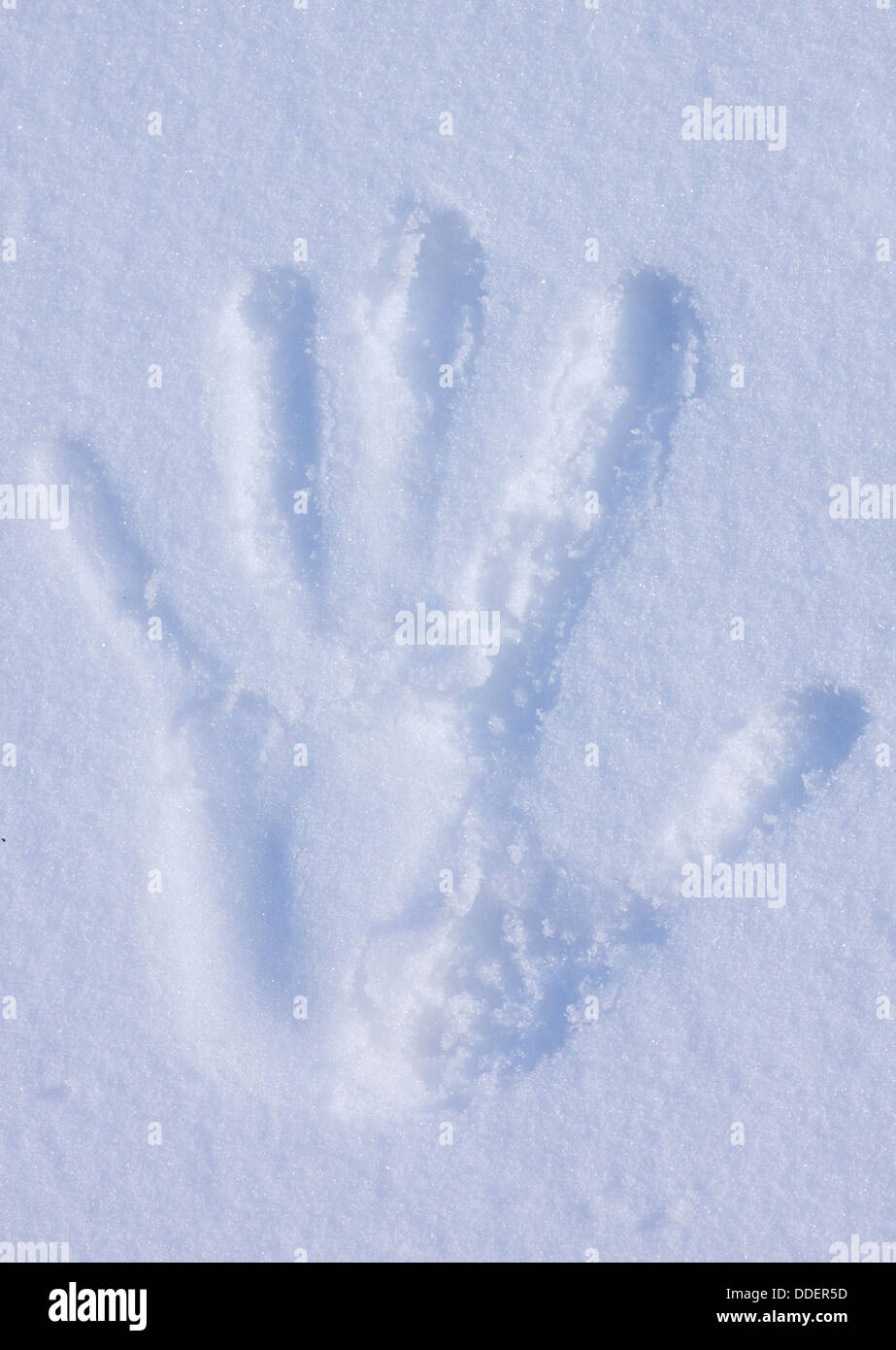 Handabdruck auf dem Schnee Stockfoto