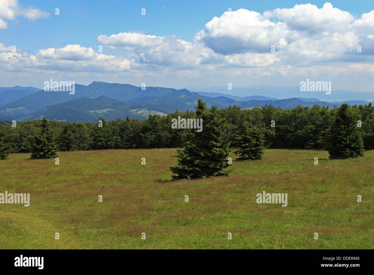 Ansicht des Berges Klak in Mala Fatra Gebirge von Strazov, Strazovske Vrchy, Slowakei. Stockfoto