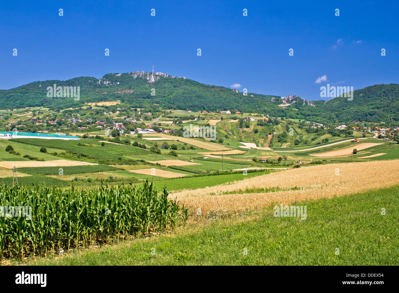 Kalnik landwirtschaftliche grüne Berglandschaft, Prigorje Region, Kroatien Stockfoto