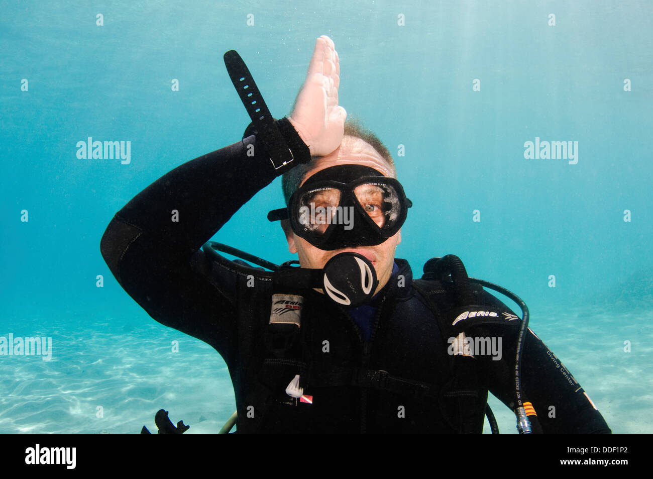 Hai Alarm oder Vorsicht Hai nähert sich. Unterwasser-Hand-Zeichen-Taucher zeigt die Zeichensprache für Taucher. Stockfoto