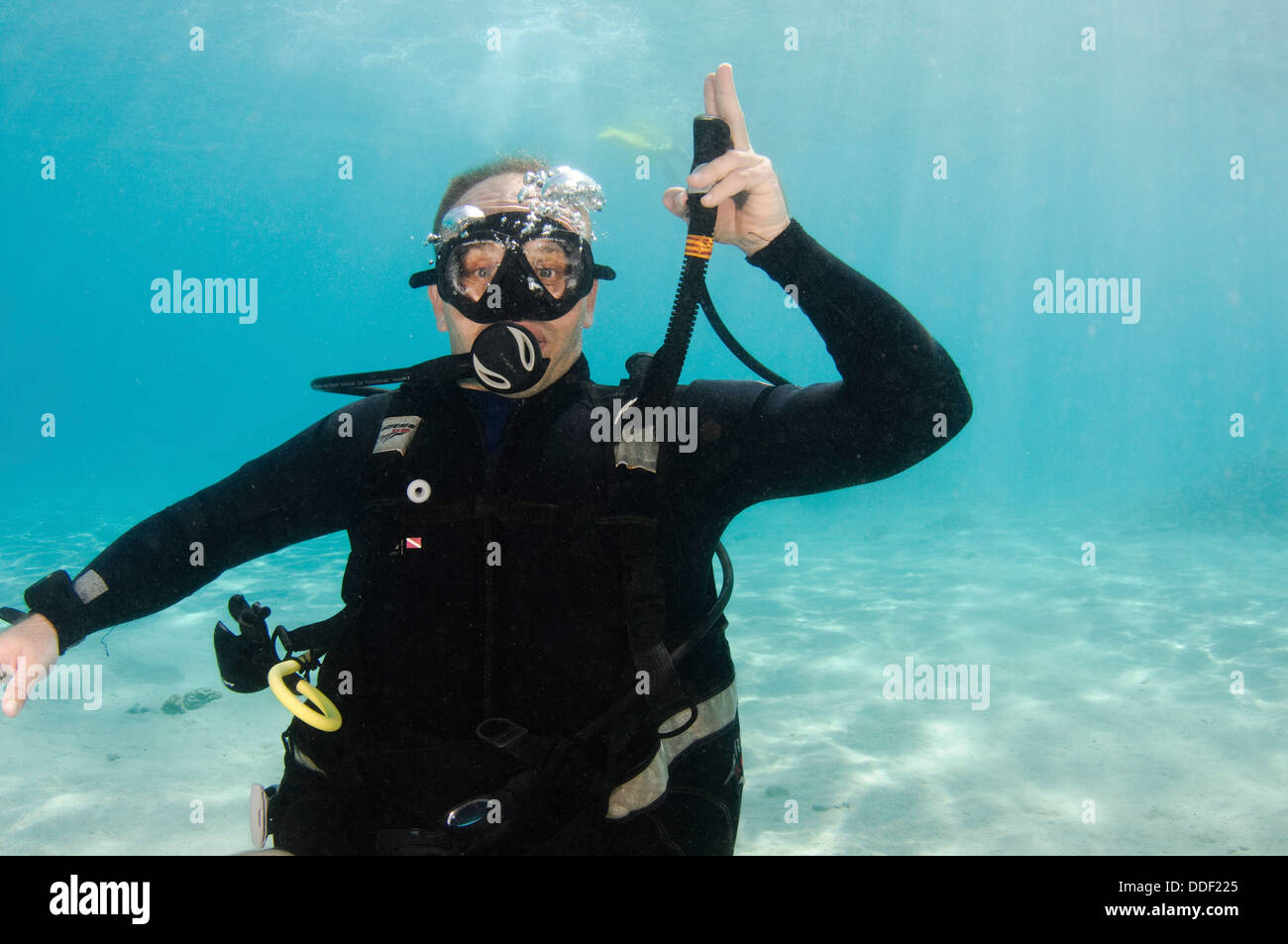 Auftrieb-Kompensator Inflator Schlauch. Unterwasser-Hand-Zeichen-Taucher zeigt die Zeichensprache für Taucher. Stockfoto