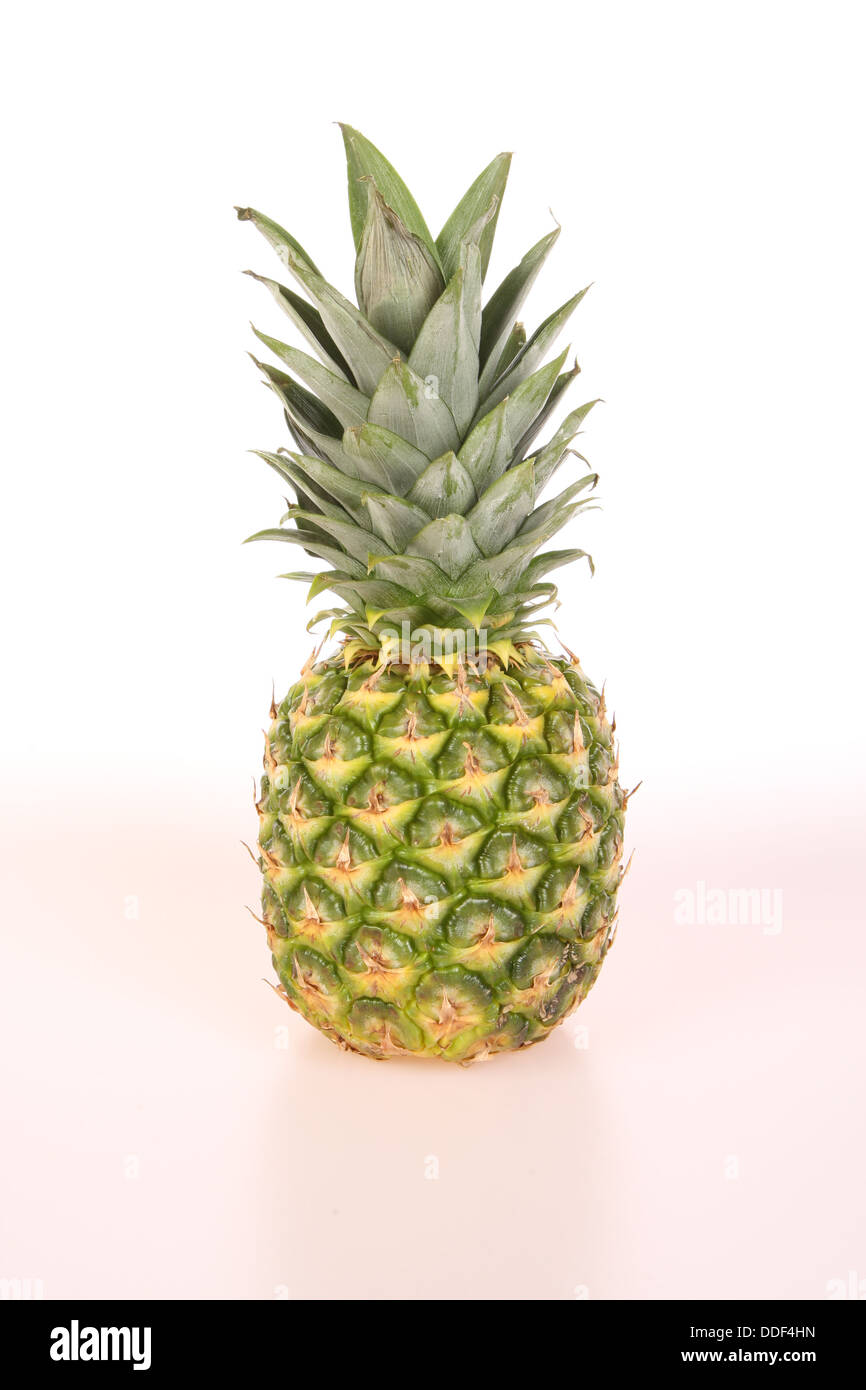 Ananas im Hintergrund weiß/grau Stockfoto