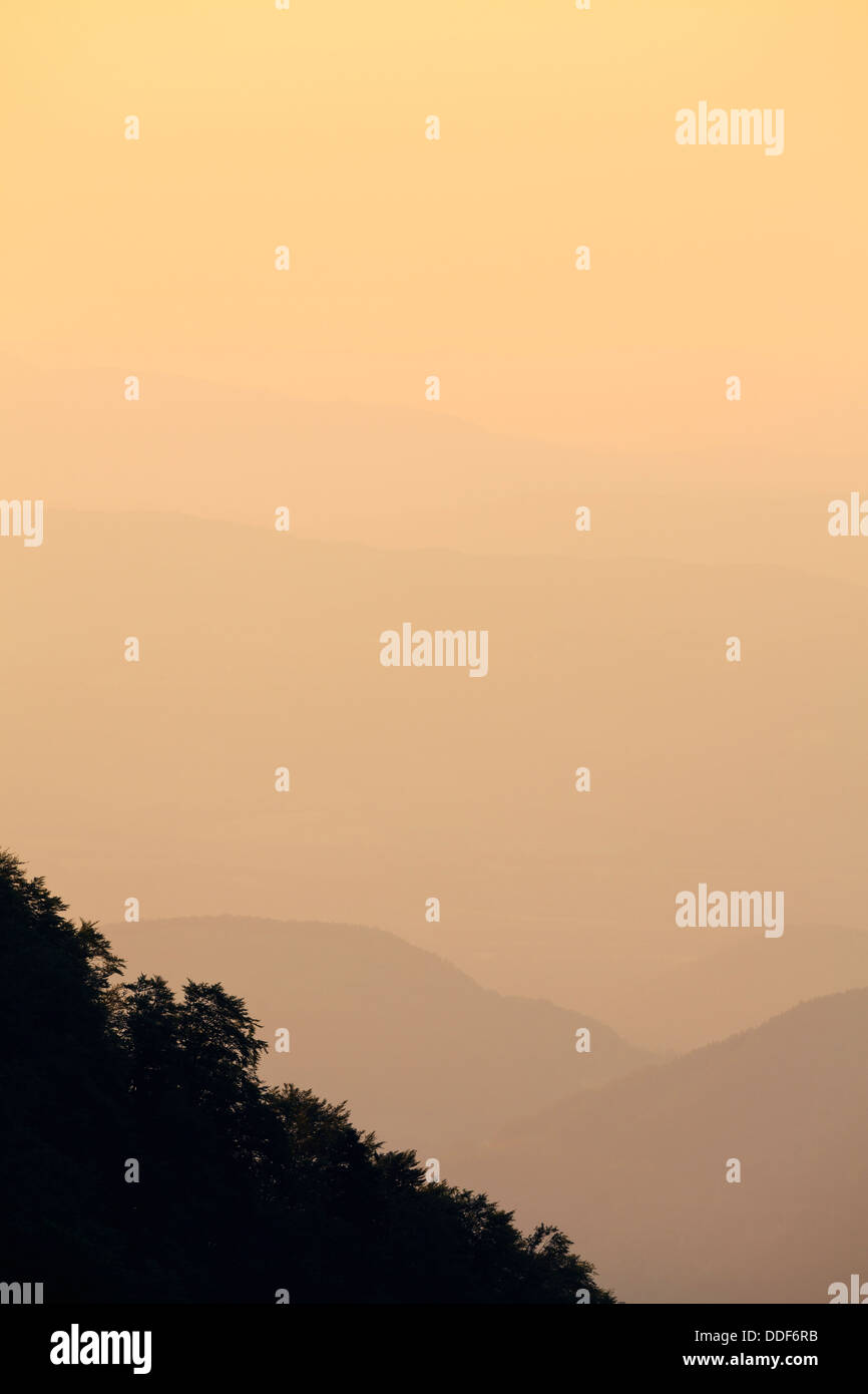 Abendlicht über bewaldete Hänge. Zentralen Balkan Nationalpark. Bulgarien. Stockfoto