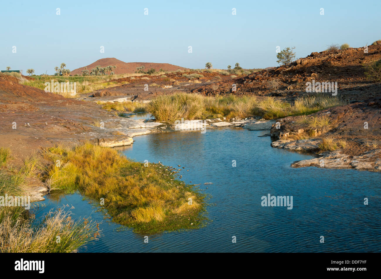 Frisches Quellwasser in einer Schlucht bei Palmwag, Kunene-Region, Namibia Stockfoto