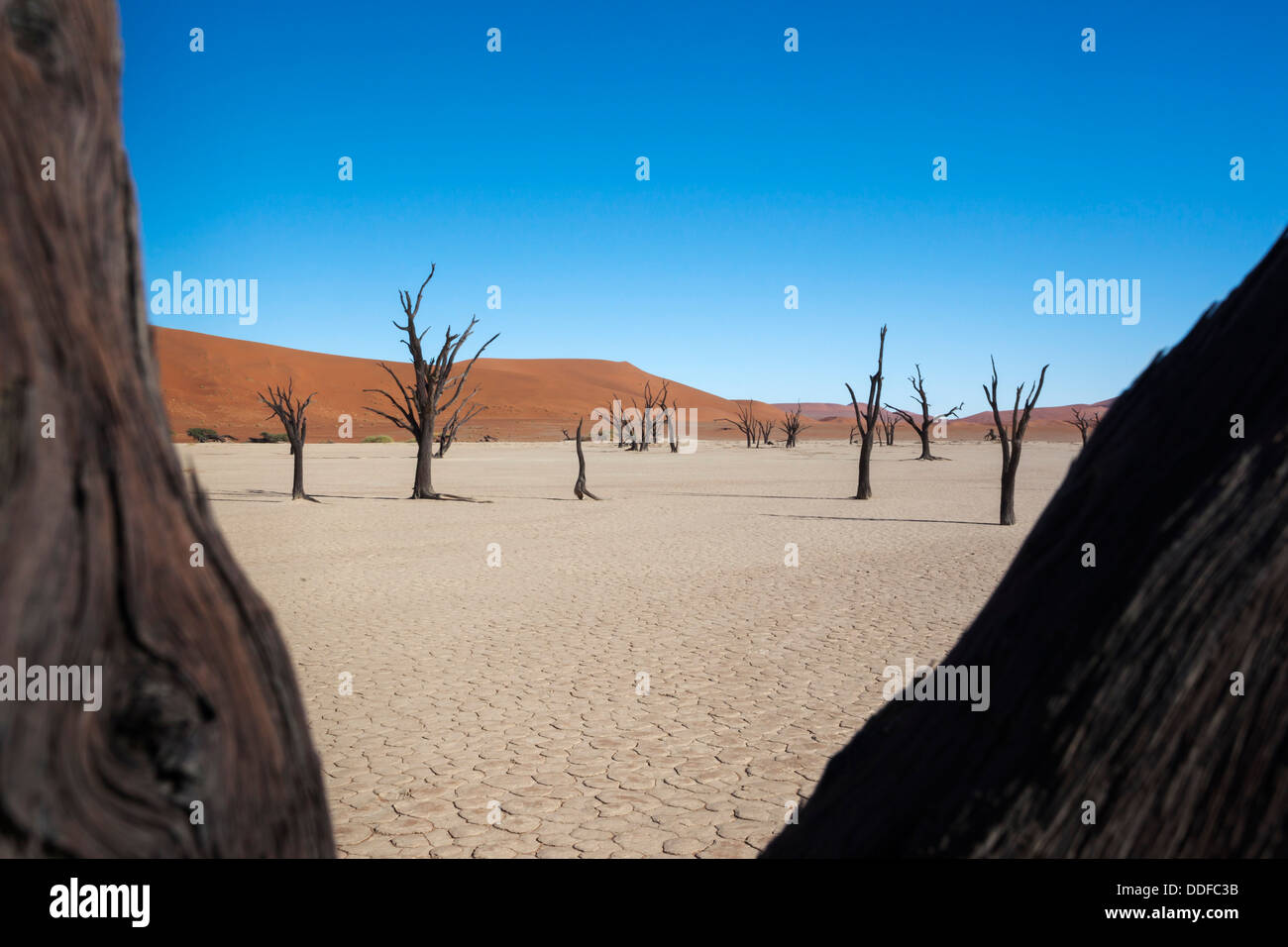 Dead Vlei, Namib-Wüste, Namibia, April 2013 Stockfoto