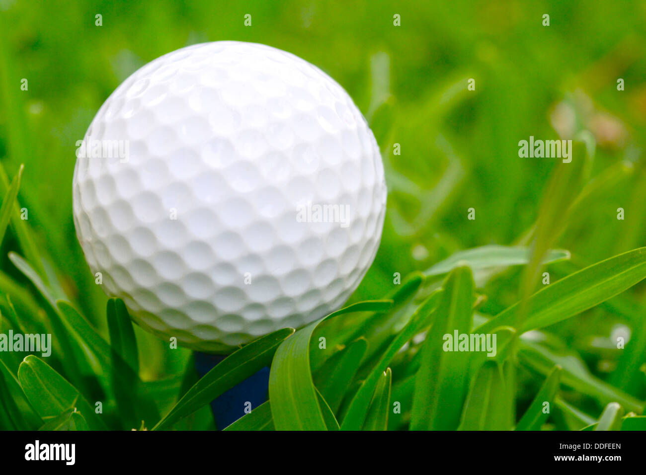 Makroaufnahme eines Golfballs auf saftig grünen Rasen Stockfoto
