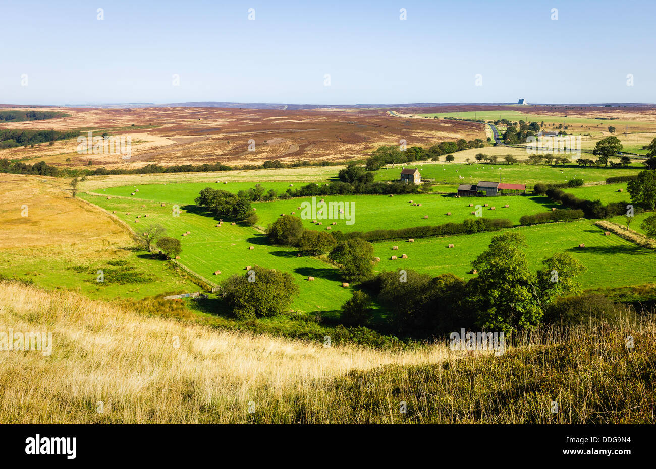 Glebe Farm, North York Moors, Goathland, Yorkshire, Großbritannien. Stockfoto