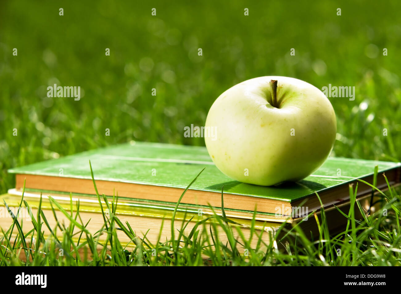 Apfel auf Stapel Bücher auf dem Rasen. Ausbildung / Schule Konzept Stockfoto