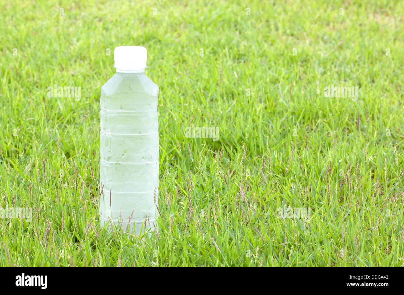 Plastikwasserflaschen kühl, durstlöschend. Hintergrund des Grases Stockfoto