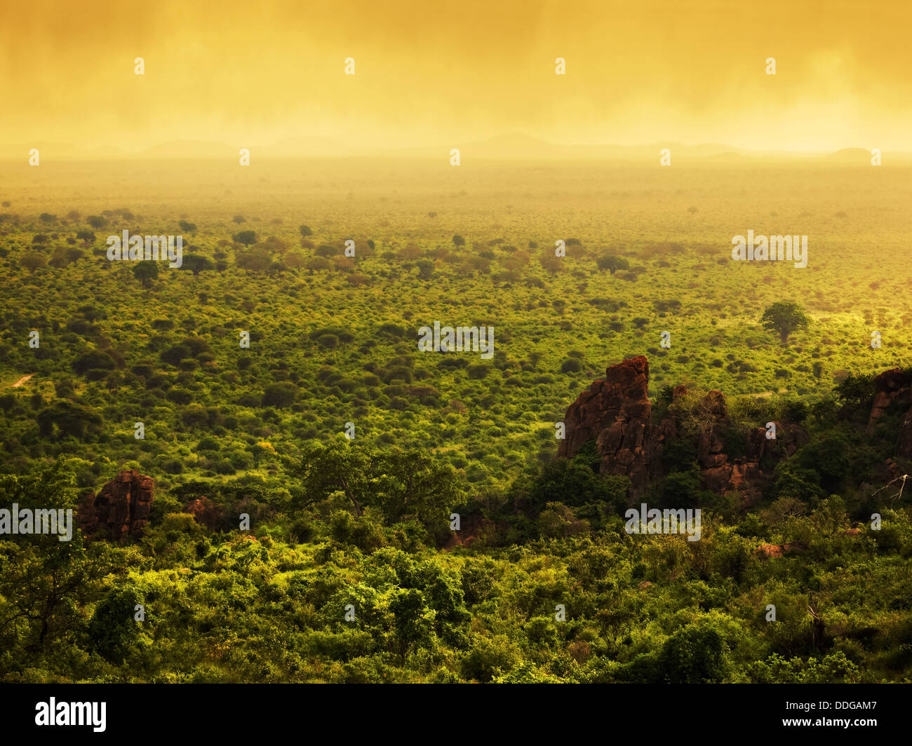 Afrikanische Bush-Landschaft in Kenia, Afrika. Tsavo West Nationalpark bei Sonnenuntergang auf Safari Stockfoto