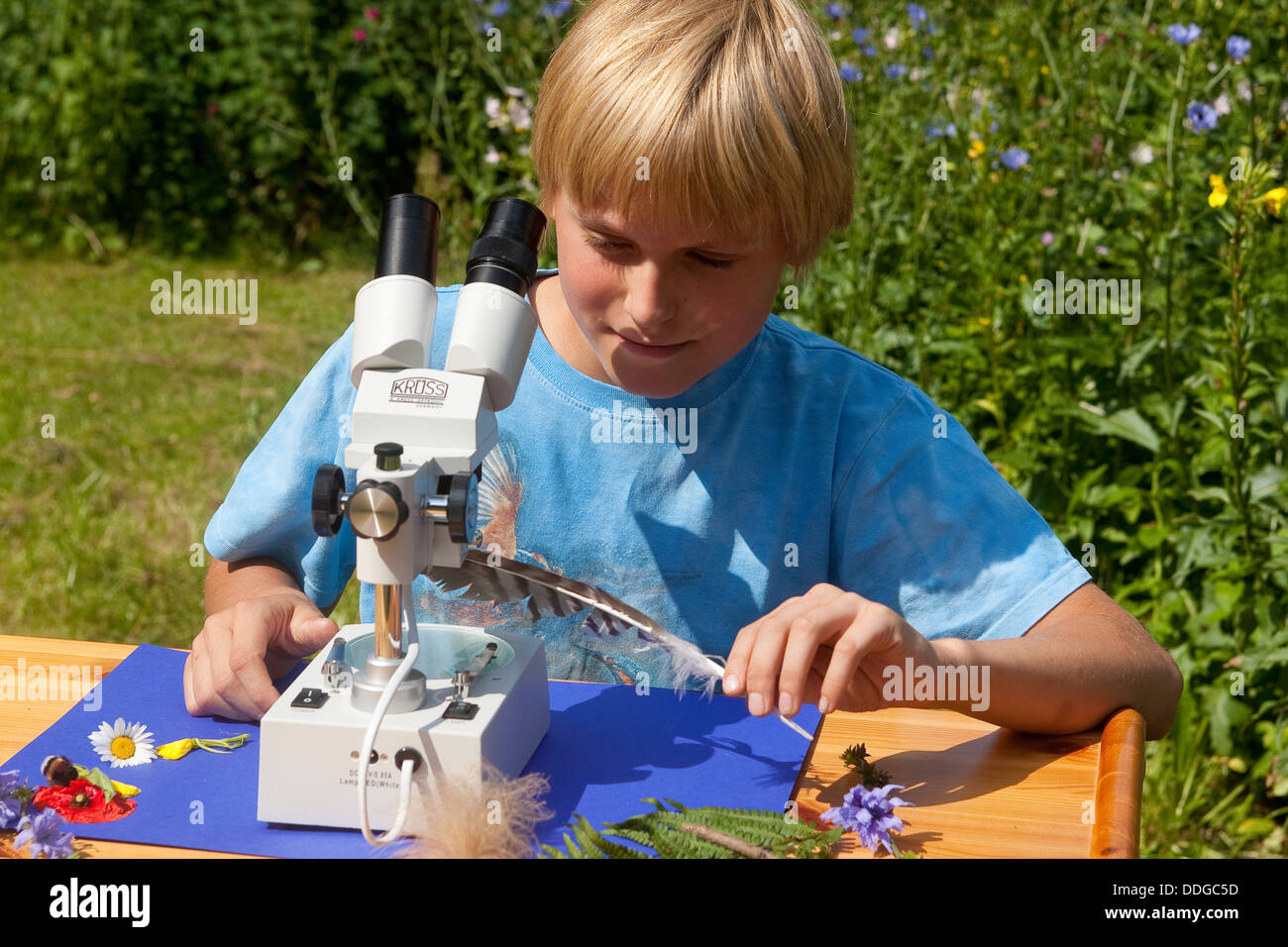 Kind, Kinder, binokulare Lupe Lupe, Kind, Mädchen, Kinder, Binokular, Stereolupe, Naturerlebnis, Natur erleben Stockfoto