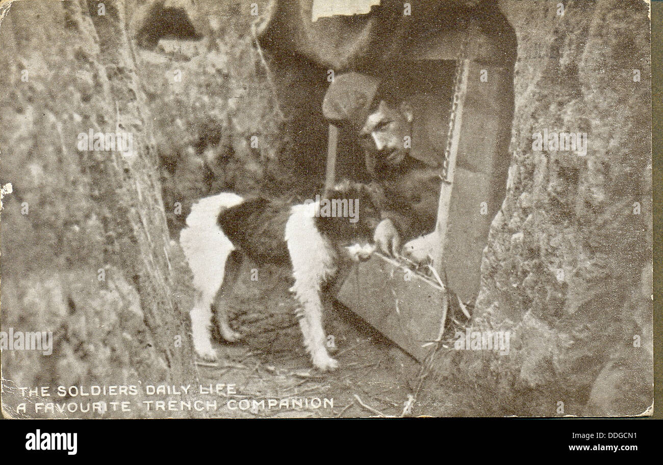 Weltkrieg eine Postkarte eines Soldaten mit Hund Stockfoto
