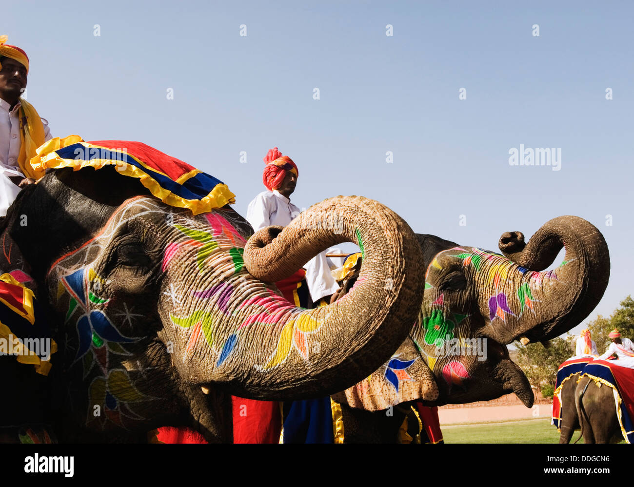Mahouts mit Elefanten in Elephant Festival, Jaipur, Rajasthan, Indien Stockfoto