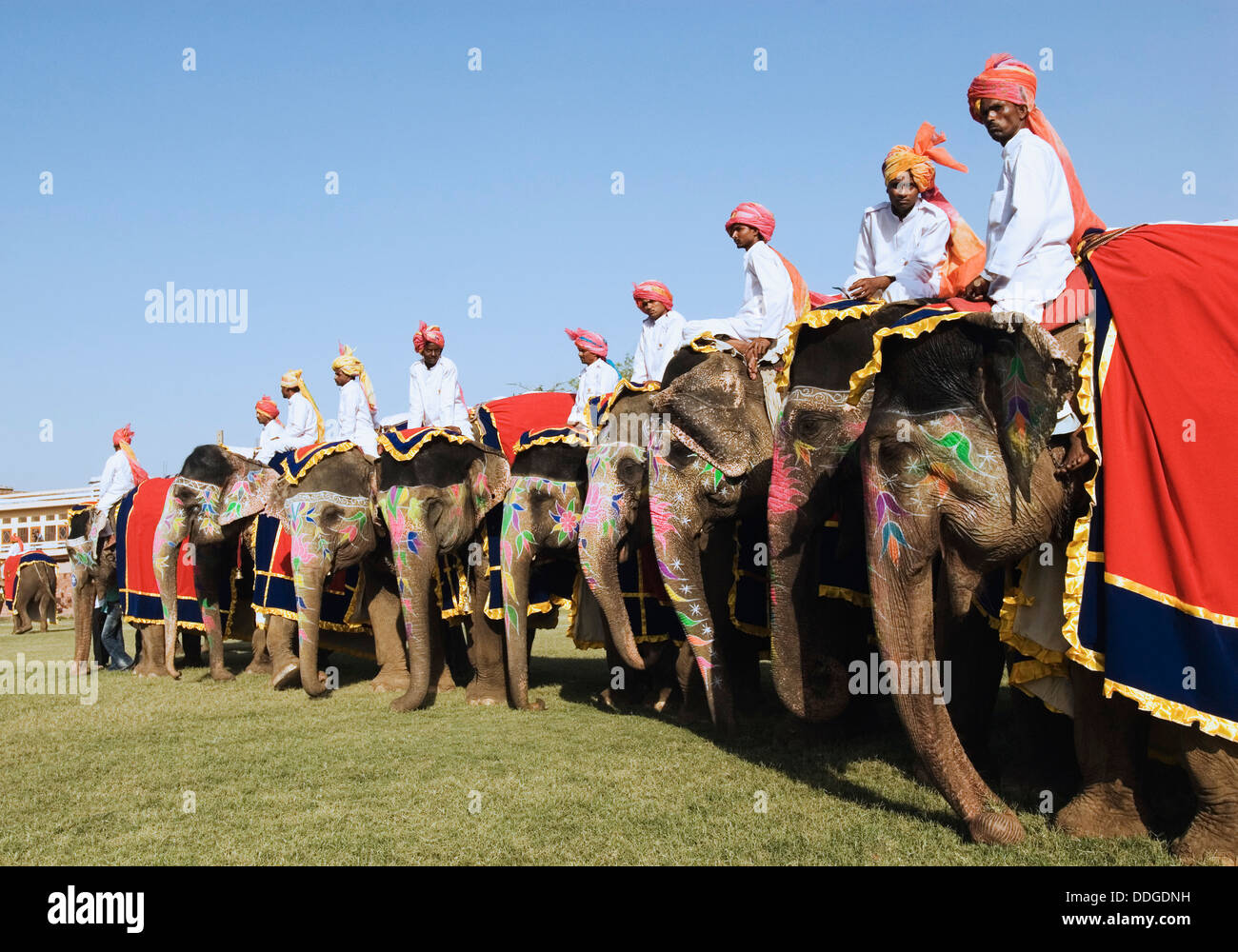 Mahouts mit Elefanten in Elephant Festival, Jaipur, Rajasthan, Indien Stockfoto