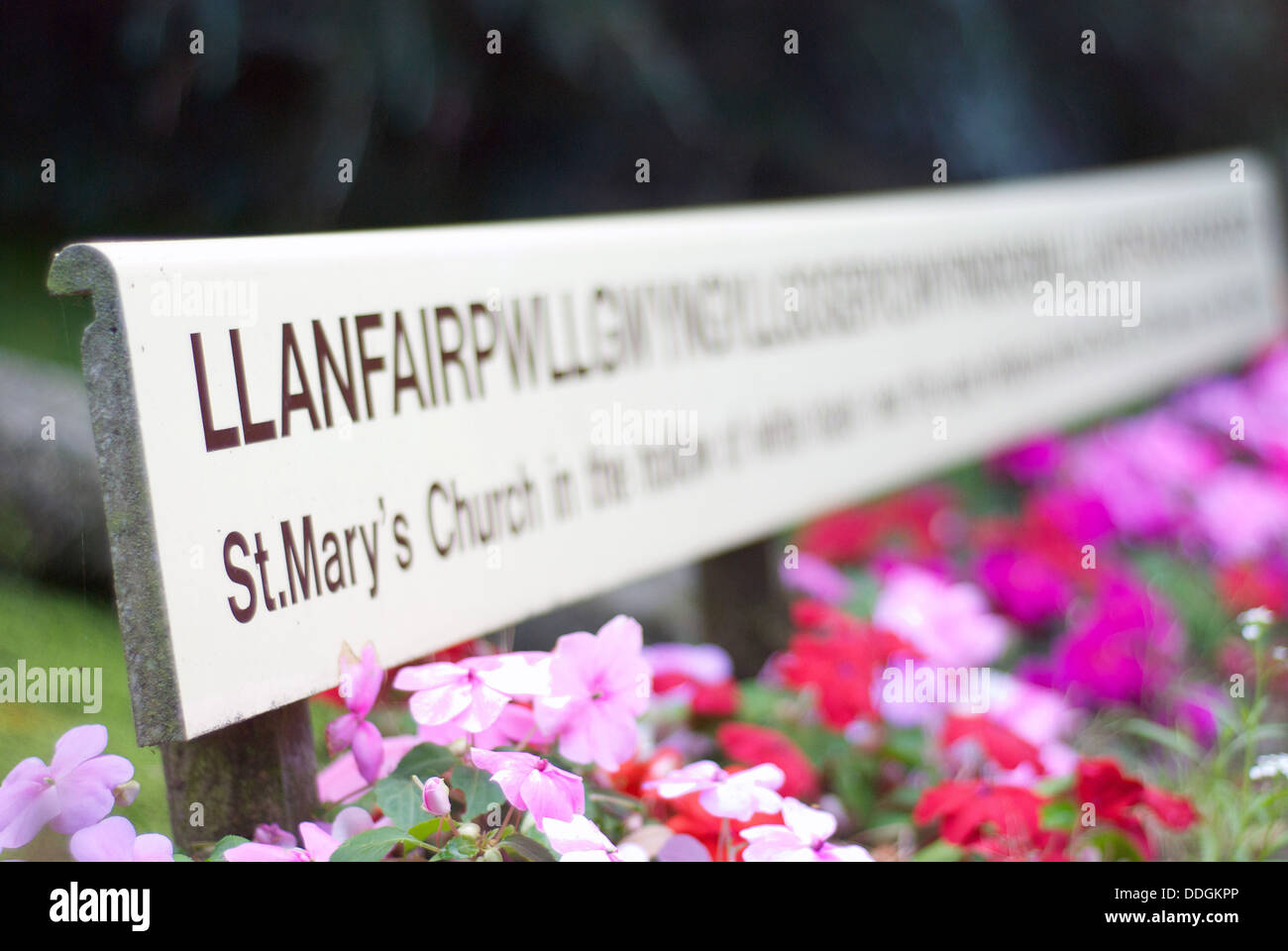 Llanfairpwllgwyngyllgogerychwyrndrobwyll-Llantysiliogogogoch längste Ort Name wales Stockfoto