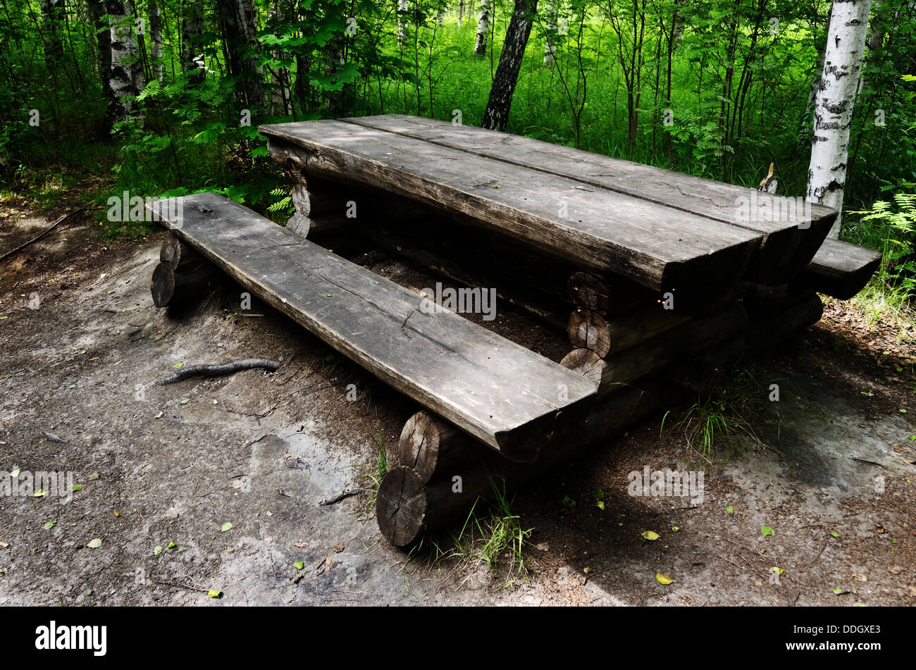 Tisch und Bank in einem Wald Stockfoto